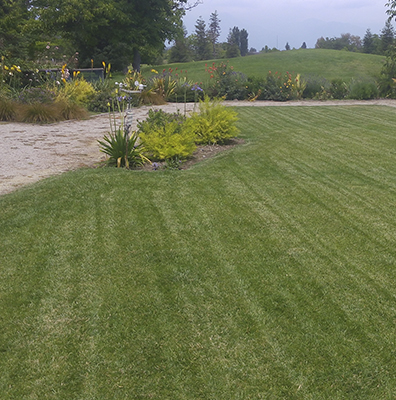 Hydroplas sevicios Áreas verdes y paisajismo